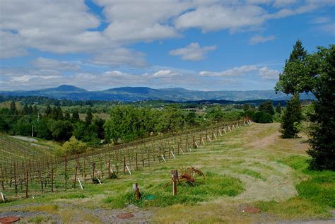 what's happening healdsburg